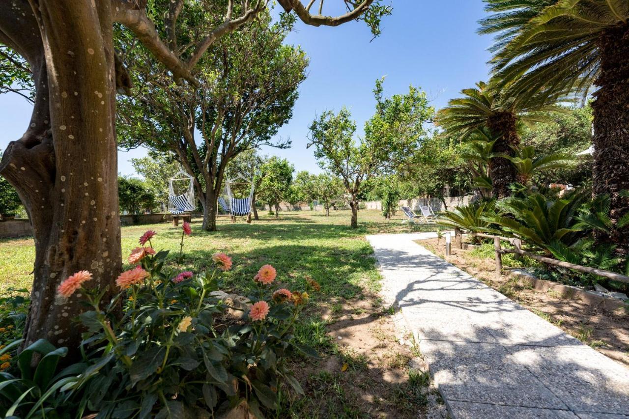 Caterina Bed & Breakfast Procida